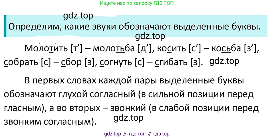 ГДЗ Русский язык, 5 класс Учебник, авторы: Ладыженская Таиса Алексеевна, Баранов Михаил Трофимович, Тростенцова Лидия Александровна, Ладыженская Наталия Вениаминовна, Дейкина Алевтина Дмитриевна, Григорян Лариса Трофимовна, Кулибаба Иван Иванович, Антонова Любовь Геннадиевна, издательство Просвещение, Москва, 2023, салатового цвета, Часть 1, страница 104, номер 191, Решение 4