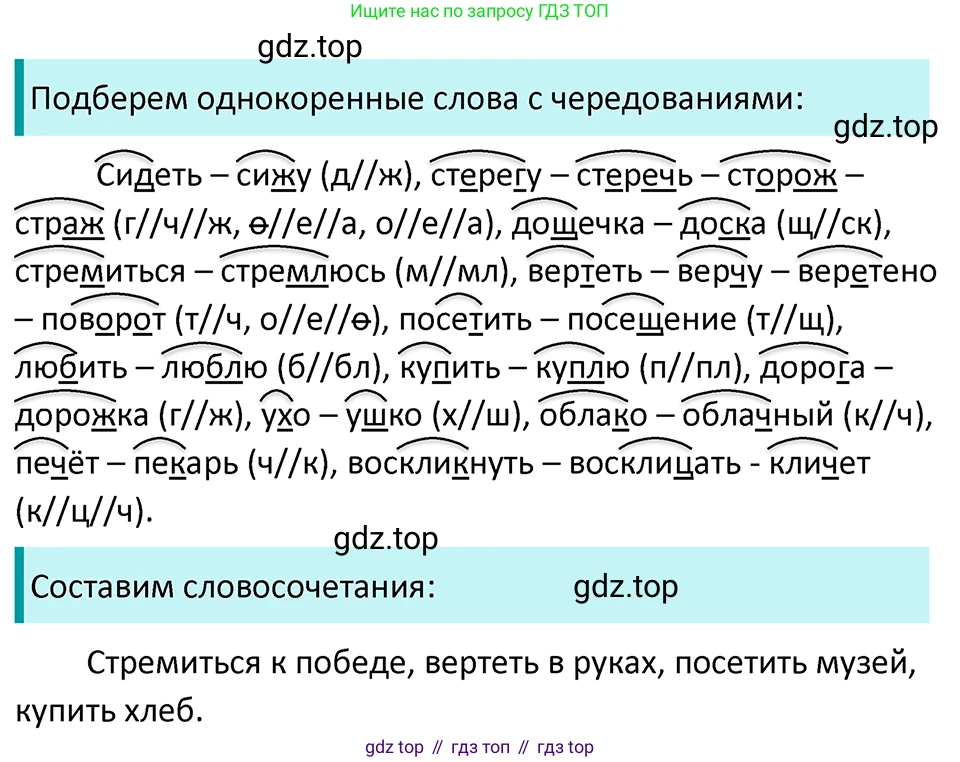 ГДЗ Русский язык, 5 класс Учебник, авторы: Ладыженская Таиса Алексеевна, Баранов Михаил Трофимович, Тростенцова Лидия Александровна, Ладыженская Наталия Вениаминовна, Дейкина Алевтина Дмитриевна, Григорян Лариса Трофимовна, Кулибаба Иван Иванович, Антонова Любовь Геннадиевна, издательство Просвещение, Москва, 2023, салатового цвета, Часть 1, страница 185, номер 389, Решение 4