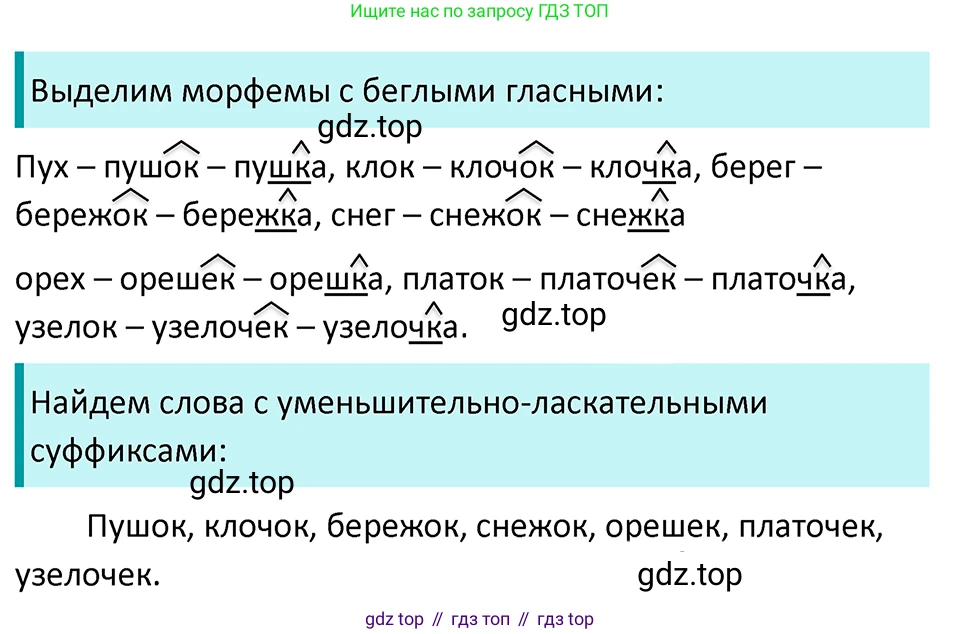 ГДЗ Русский язык, 5 класс Учебник, авторы: Ладыженская Таиса Алексеевна, Баранов Михаил Трофимович, Тростенцова Лидия Александровна, Ладыженская Наталия Вениаминовна, Дейкина Алевтина Дмитриевна, Григорян Лариса Трофимовна, Кулибаба Иван Иванович, Антонова Любовь Геннадиевна, издательство Просвещение, Москва, 2023, салатового цвета, Часть 1, страница 187, номер 393, Решение 4
