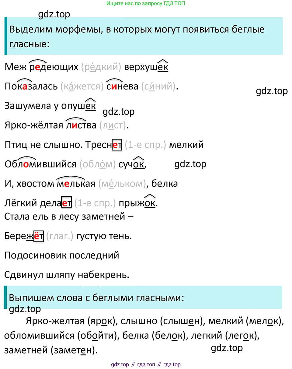 ГДЗ Русский язык, 5 класс Учебник, авторы: Ладыженская Таиса Алексеевна, Баранов Михаил Трофимович, Тростенцова Лидия Александровна, Ладыженская Наталия Вениаминовна, Дейкина Алевтина Дмитриевна, Григорян Лариса Трофимовна, Кулибаба Иван Иванович, Антонова Любовь Геннадиевна, издательство Просвещение, Москва, 2023, салатового цвета, Часть 1, страница 187, номер 394, Решение 4