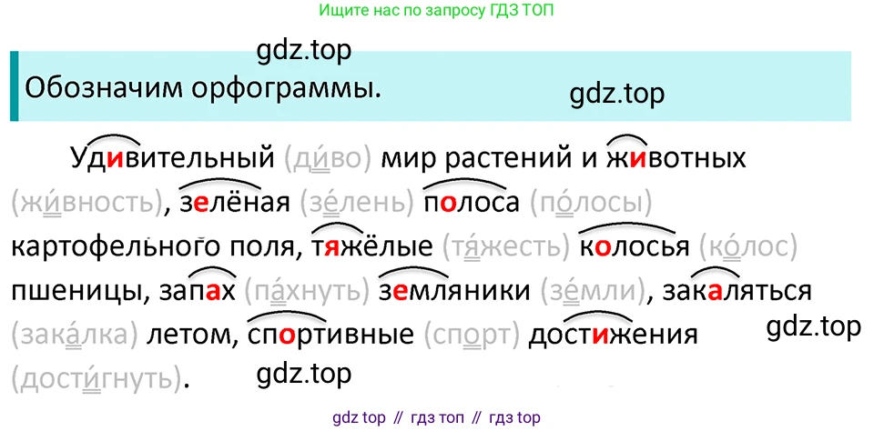 ГДЗ Русский язык, 5 класс Учебник, авторы: Ладыженская Таиса Алексеевна, Баранов Михаил Трофимович, Тростенцова Лидия Александровна, Ладыженская Наталия Вениаминовна, Дейкина Алевтина Дмитриевна, Григорян Лариса Трофимовна, Кулибаба Иван Иванович, Антонова Любовь Геннадиевна, издательство Просвещение, Москва, 2023, салатового цвета, Часть 1, страница 194, номер 411, Решение 4