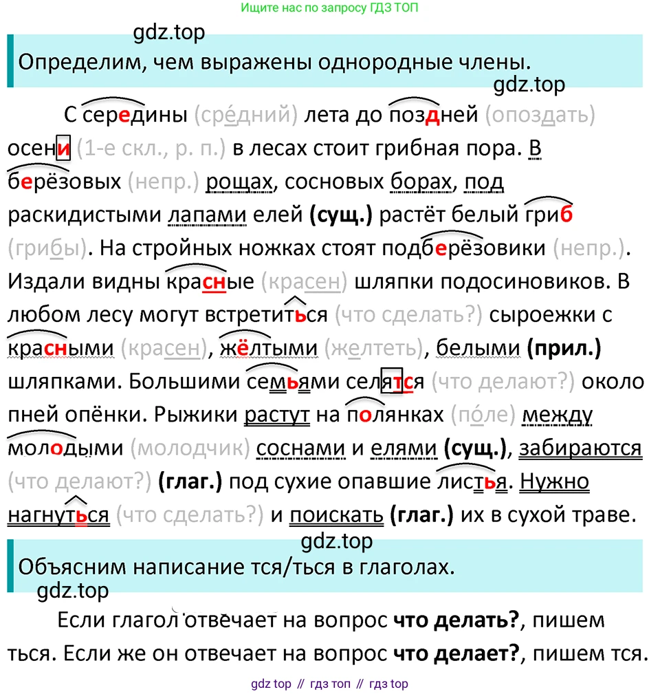ГДЗ Русский язык, 5 класс Учебник, авторы: Ладыженская Таиса Алексеевна, Баранов Михаил Трофимович, Тростенцова Лидия Александровна, Ладыженская Наталия Вениаминовна, Дейкина Алевтина Дмитриевна, Григорян Лариса Трофимовна, Кулибаба Иван Иванович, Антонова Любовь Геннадиевна, издательство Просвещение, Москва, 2023, салатового цвета, Часть 2, страница 198, номер 894, Решение 4