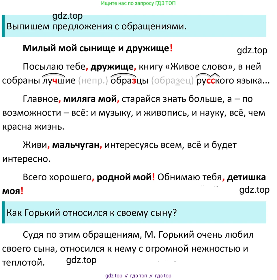 ГДЗ Русский язык, 5 класс Учебник, авторы: Ладыженская Таиса Алексеевна, Баранов Михаил Трофимович, Тростенцова Лидия Александровна, Ладыженская Наталия Вениаминовна, Дейкина Алевтина Дмитриевна, Григорян Лариса Трофимовна, Кулибаба Иван Иванович, Антонова Любовь Геннадиевна, издательство Просвещение, Москва, 2023, салатового цвета, Часть 2, страница 202, номер 904, Решение 4