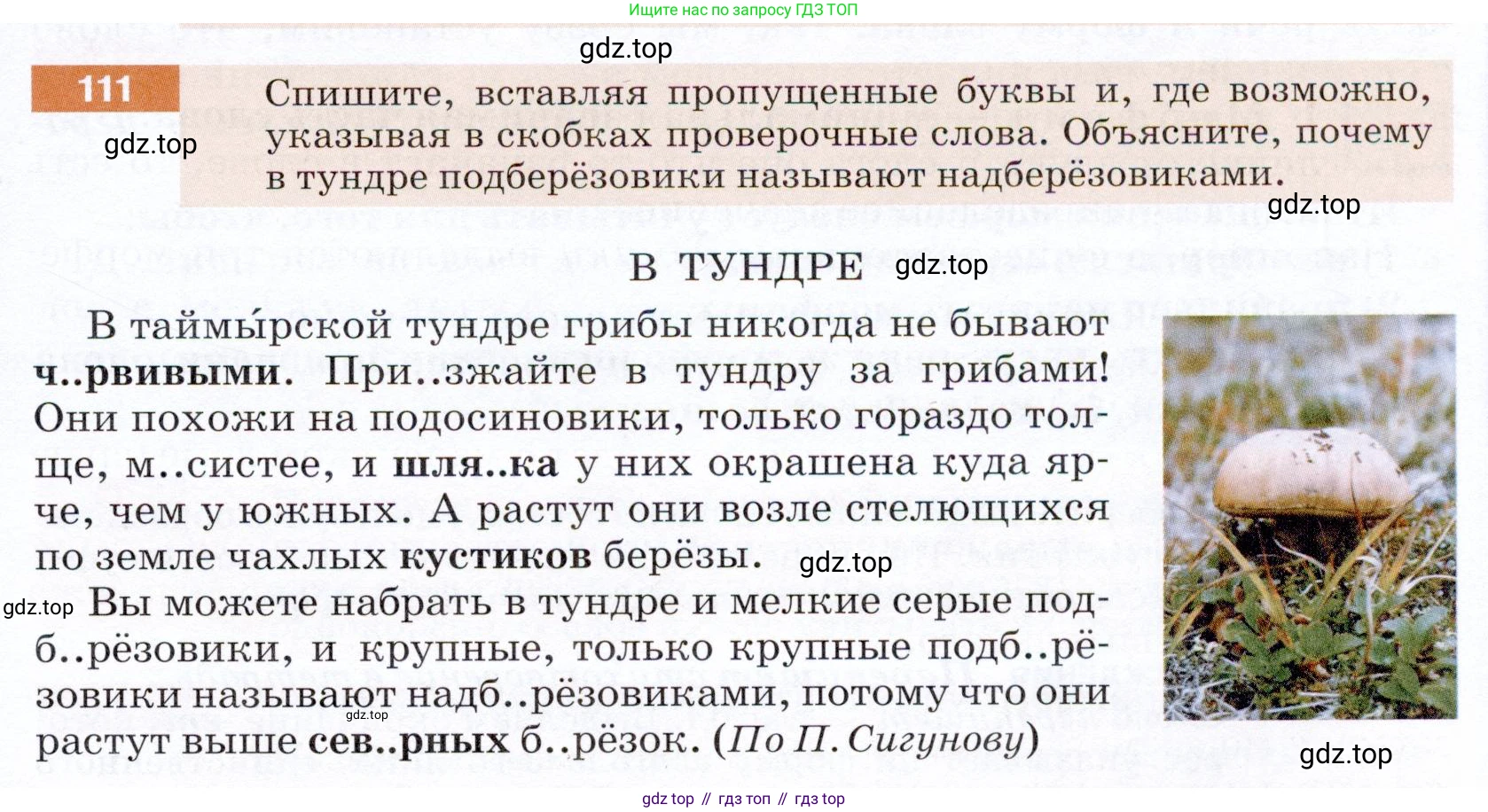 ГДЗ Русский язык, 5 класс Учебник, авторы: Разумовская Маргарита Михайловна, Львова Светлана Ивановна, Капинос Валентина Ивановна, Львов Валентин Витальевич, Богданова Галина Александровна, Тронина Татьяна Сергеевна, Сергеева Наталья Николаевна, издательство Дрофа, Москва, 2019 - 2022, белого цвета, Часть 1, страница 41, номер 111, Условие