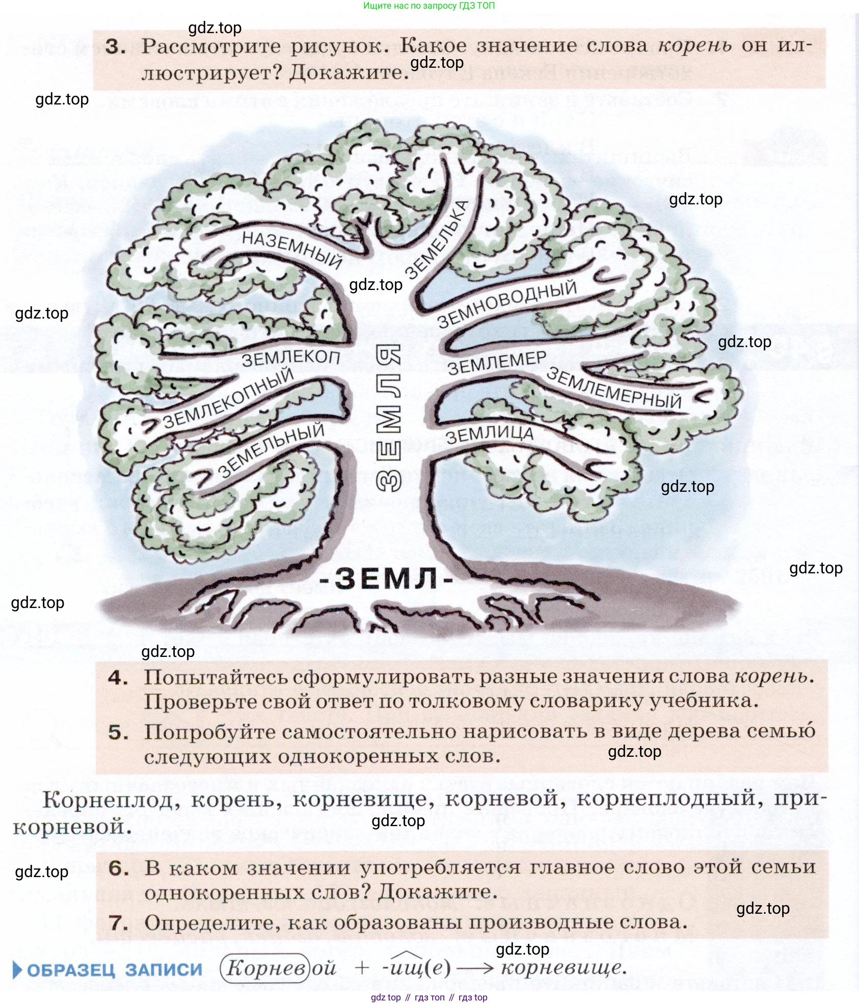 ГДЗ Русский язык, 5 класс Учебник, авторы: Разумовская Маргарита Михайловна, Львова Светлана Ивановна, Капинос Валентина Ивановна, Львов Валентин Витальевич, Богданова Галина Александровна, Тронина Татьяна Сергеевна, Сергеева Наталья Николаевна, издательство Дрофа, Москва, 2019 - 2022, белого цвета, Часть 1, страница 99, номер 308, Условие (продолжение 2)