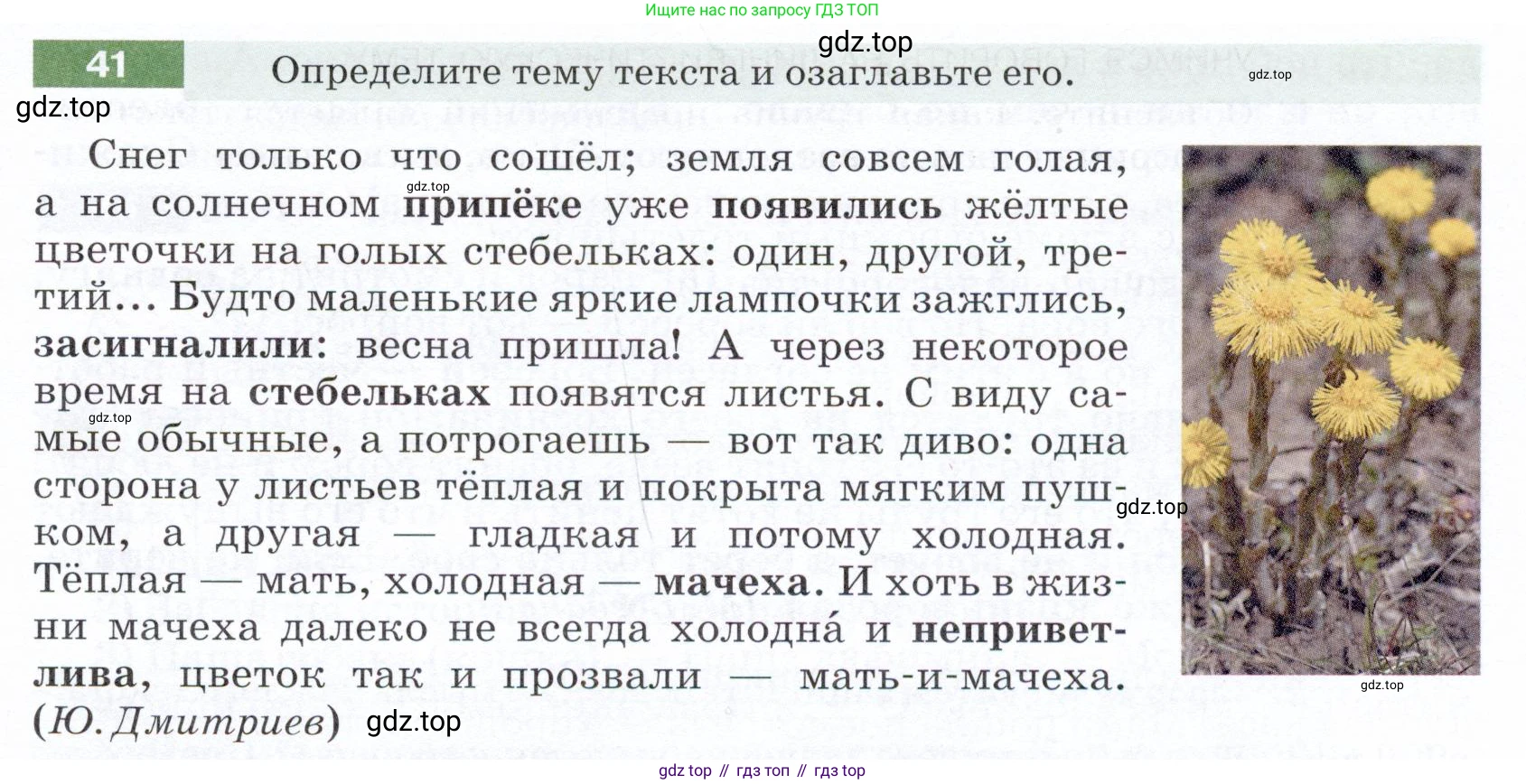 ГДЗ Русский язык, 5 класс Учебник, авторы: Разумовская Маргарита Михайловна, Львова Светлана Ивановна, Капинос Валентина Ивановна, Львов Валентин Витальевич, Богданова Галина Александровна, Тронина Татьяна Сергеевна, Сергеева Наталья Николаевна, издательство Дрофа, Москва, 2019 - 2022, белого цвета, Часть 1, страница 19, номер 41, Условие