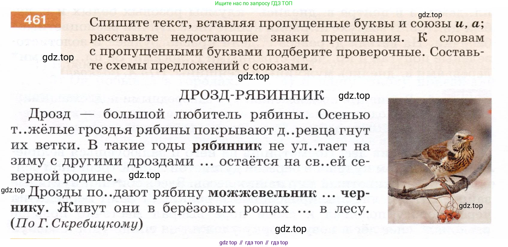 ГДЗ Русский язык, 5 класс Учебник, авторы: Разумовская Маргарита Михайловна, Львова Светлана Ивановна, Капинос Валентина Ивановна, Львов Валентин Витальевич, Богданова Галина Александровна, Тронина Татьяна Сергеевна, Сергеева Наталья Николаевна, издательство Дрофа, Москва, 2019 - 2022, белого цвета, Часть 2, страница 33, номер 461, Условие
