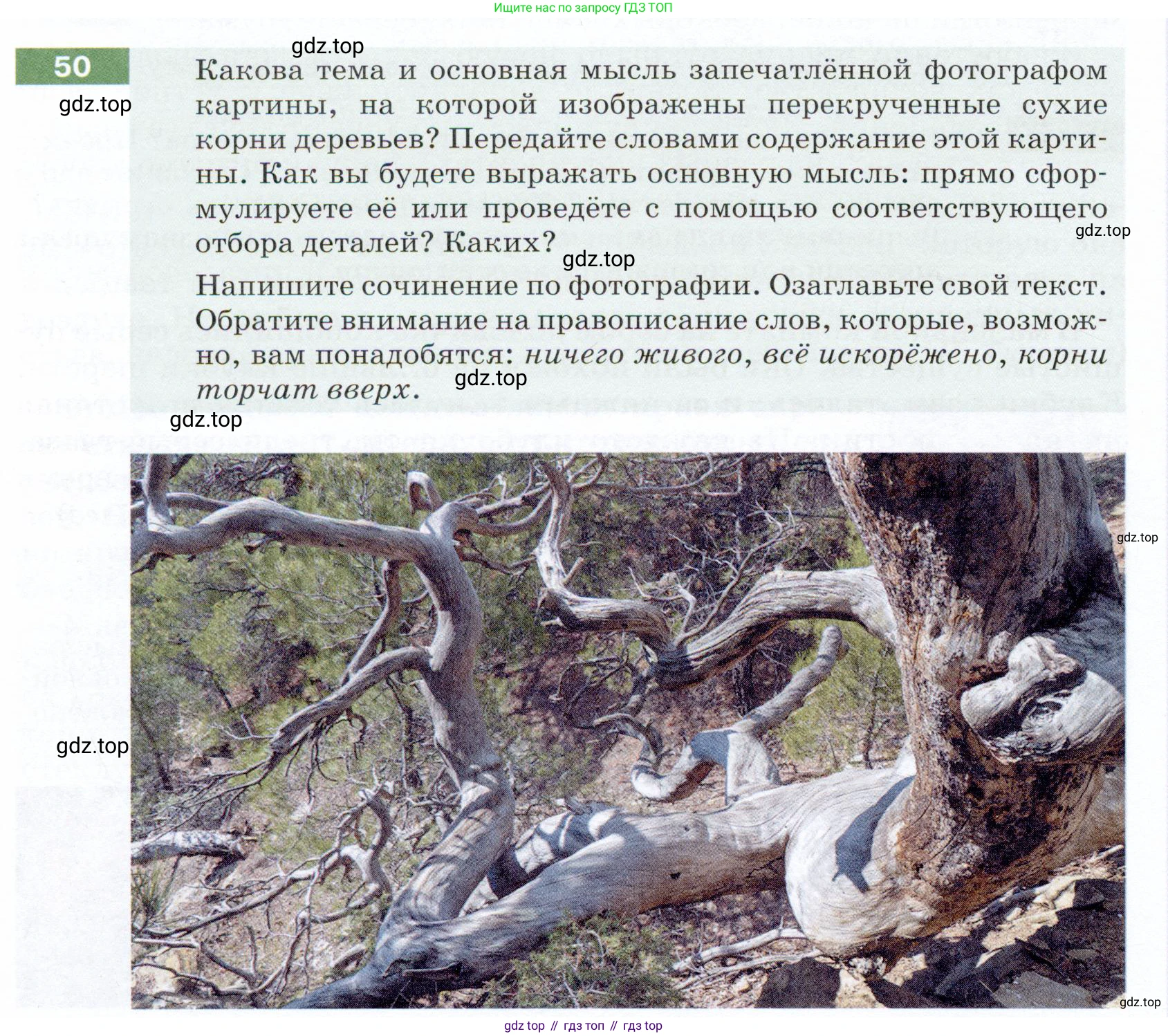 ГДЗ Русский язык, 5 класс Учебник, авторы: Разумовская Маргарита Михайловна, Львова Светлана Ивановна, Капинос Валентина Ивановна, Львов Валентин Витальевич, Богданова Галина Александровна, Тронина Татьяна Сергеевна, Сергеева Наталья Николаевна, издательство Дрофа, Москва, 2019 - 2022, белого цвета, Часть 1, страница 22, номер 50, Условие