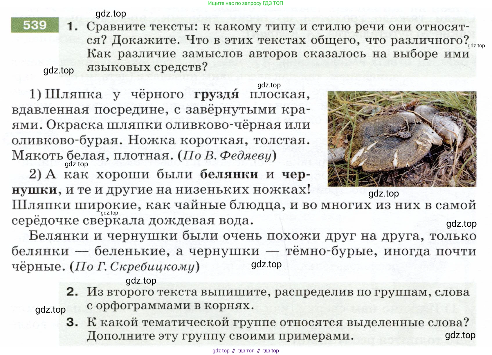 ГДЗ Русский язык, 5 класс Учебник, авторы: Разумовская Маргарита Михайловна, Львова Светлана Ивановна, Капинос Валентина Ивановна, Львов Валентин Витальевич, Богданова Галина Александровна, Тронина Татьяна Сергеевна, Сергеева Наталья Николаевна, издательство Дрофа, Москва, 2019 - 2022, белого цвета, Часть 2, страница 56, номер 539, Условие