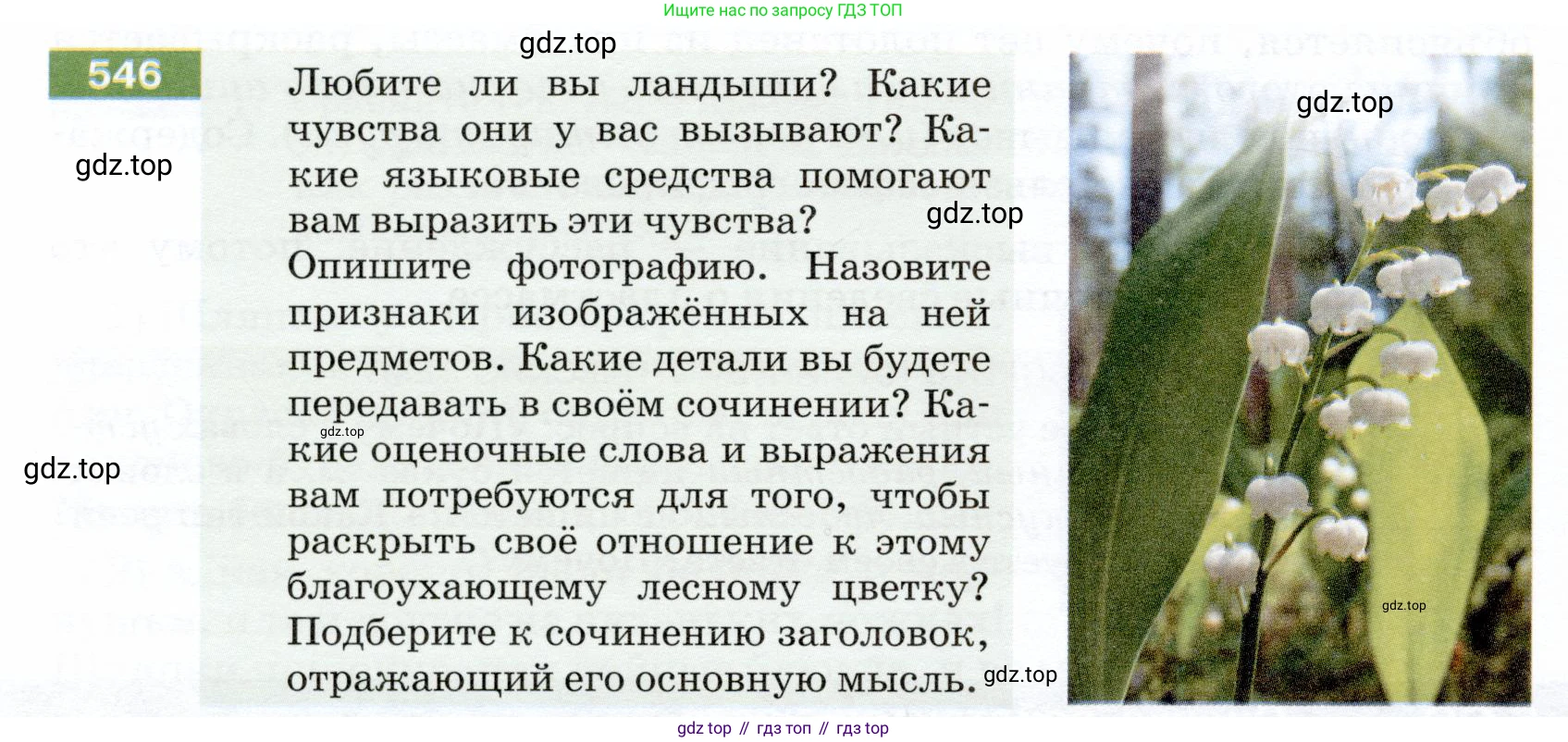 ГДЗ Русский язык, 5 класс Учебник, авторы: Разумовская Маргарита Михайловна, Львова Светлана Ивановна, Капинос Валентина Ивановна, Львов Валентин Витальевич, Богданова Галина Александровна, Тронина Татьяна Сергеевна, Сергеева Наталья Николаевна, издательство Дрофа, Москва, 2019 - 2022, белого цвета, Часть 2, страница 58, номер 546, Условие