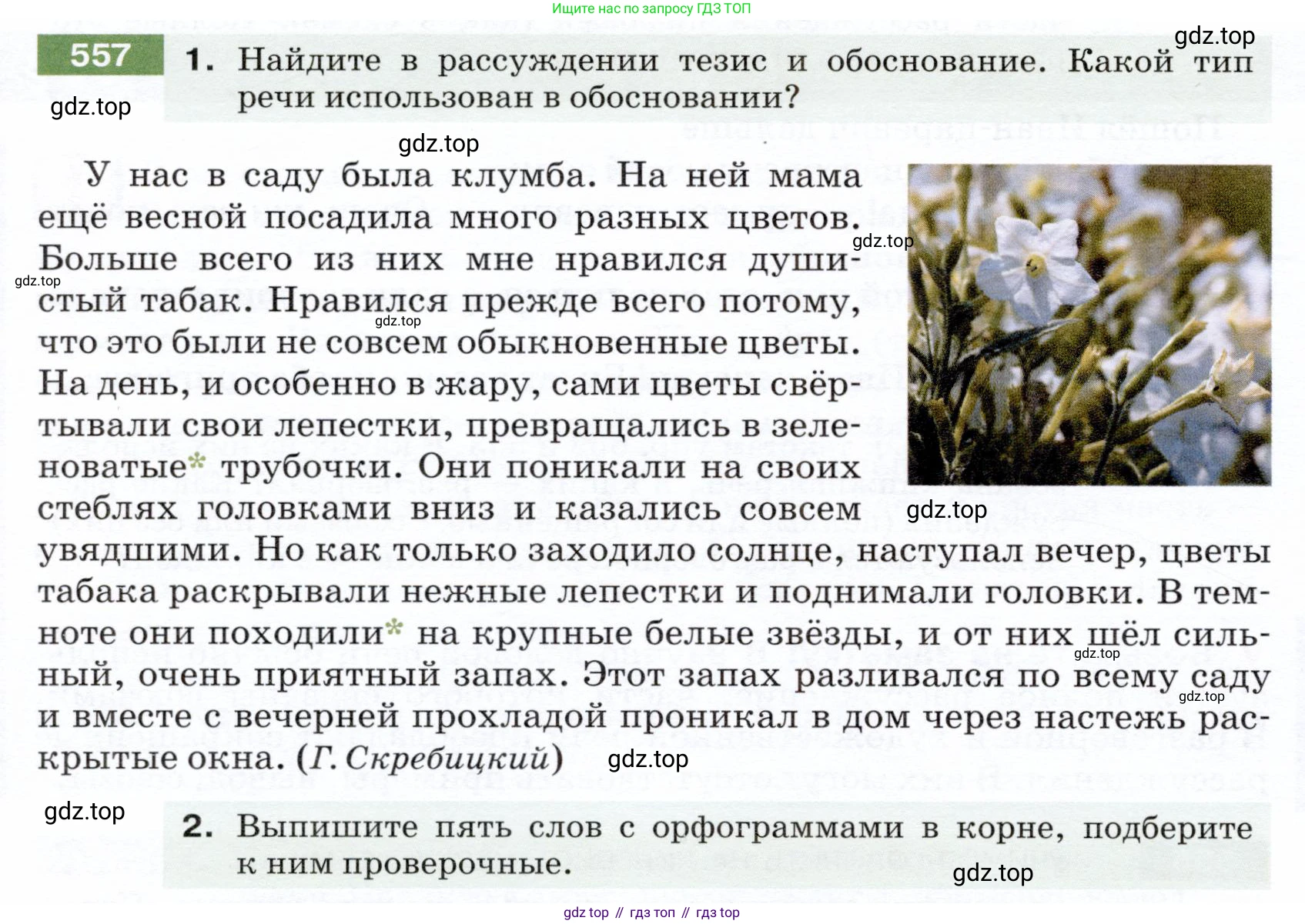 ГДЗ Русский язык, 5 класс Учебник, авторы: Разумовская Маргарита Михайловна, Львова Светлана Ивановна, Капинос Валентина Ивановна, Львов Валентин Витальевич, Богданова Галина Александровна, Тронина Татьяна Сергеевна, Сергеева Наталья Николаевна, издательство Дрофа, Москва, 2019 - 2022, белого цвета, Часть 2, страница 62, номер 557, Условие