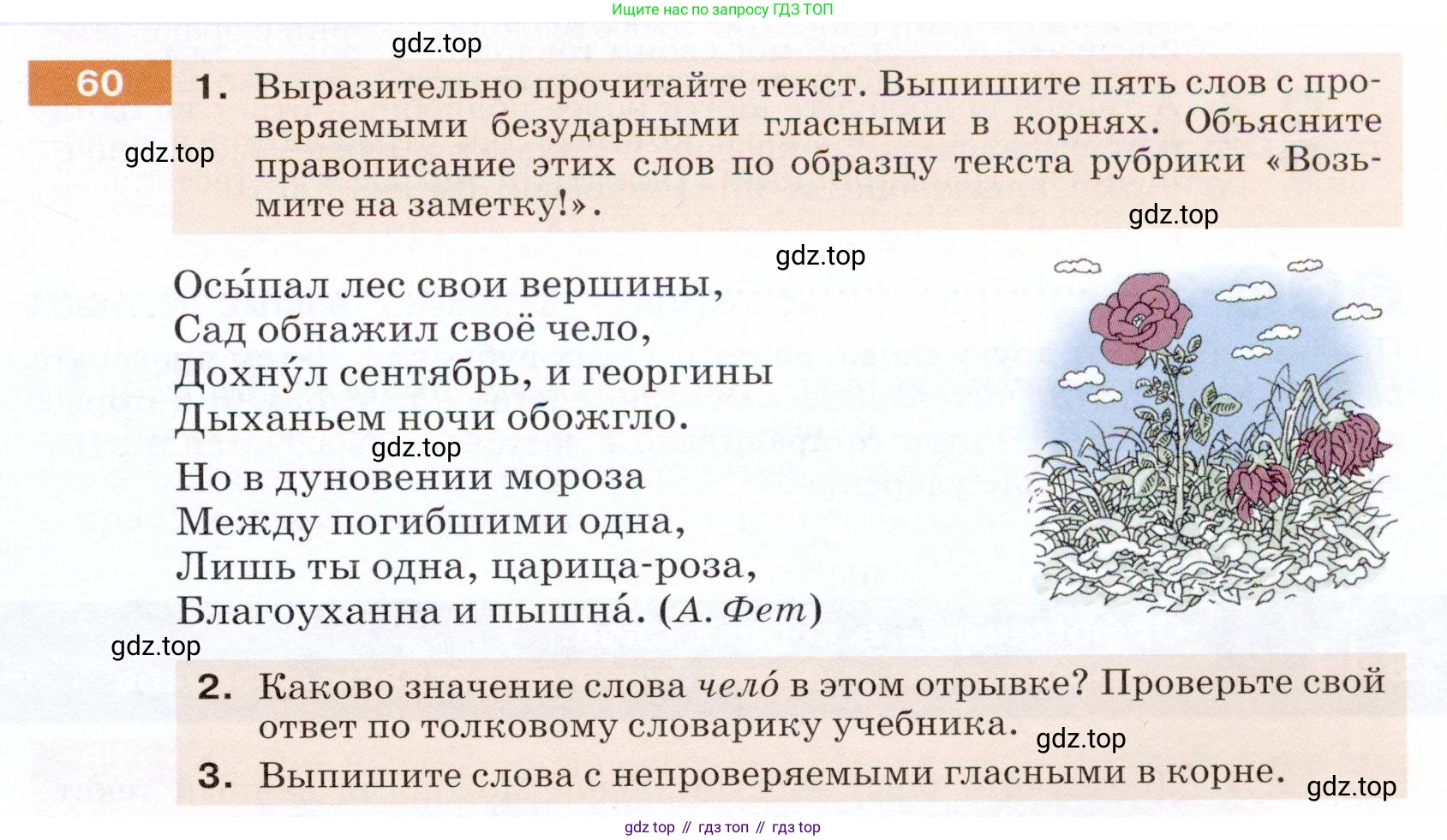 ГДЗ Русский язык, 5 класс Учебник, авторы: Разумовская Маргарита Михайловна, Львова Светлана Ивановна, Капинос Валентина Ивановна, Львов Валентин Витальевич, Богданова Галина Александровна, Тронина Татьяна Сергеевна, Сергеева Наталья Николаевна, издательство Дрофа, Москва, 2019 - 2022, белого цвета, Часть 1, страница 27, номер 60, Условие