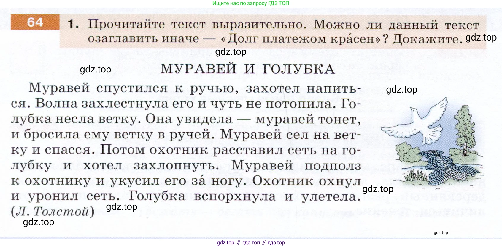 ГДЗ Русский язык, 5 класс Учебник, авторы: Разумовская Маргарита Михайловна, Львова Светлана Ивановна, Капинос Валентина Ивановна, Львов Валентин Витальевич, Богданова Галина Александровна, Тронина Татьяна Сергеевна, Сергеева Наталья Николаевна, издательство Дрофа, Москва, 2019 - 2022, белого цвета, Часть 1, страница 28, номер 64, Условие