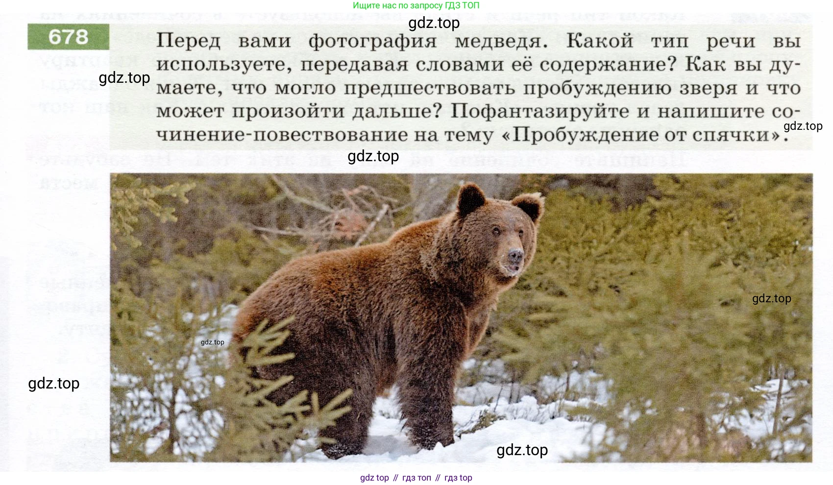 ГДЗ Русский язык, 5 класс Учебник, авторы: Разумовская Маргарита Михайловна, Львова Светлана Ивановна, Капинос Валентина Ивановна, Львов Валентин Витальевич, Богданова Галина Александровна, Тронина Татьяна Сергеевна, Сергеева Наталья Николаевна, издательство Дрофа, Москва, 2019 - 2022, белого цвета, Часть 2, страница 101, номер 678, Условие