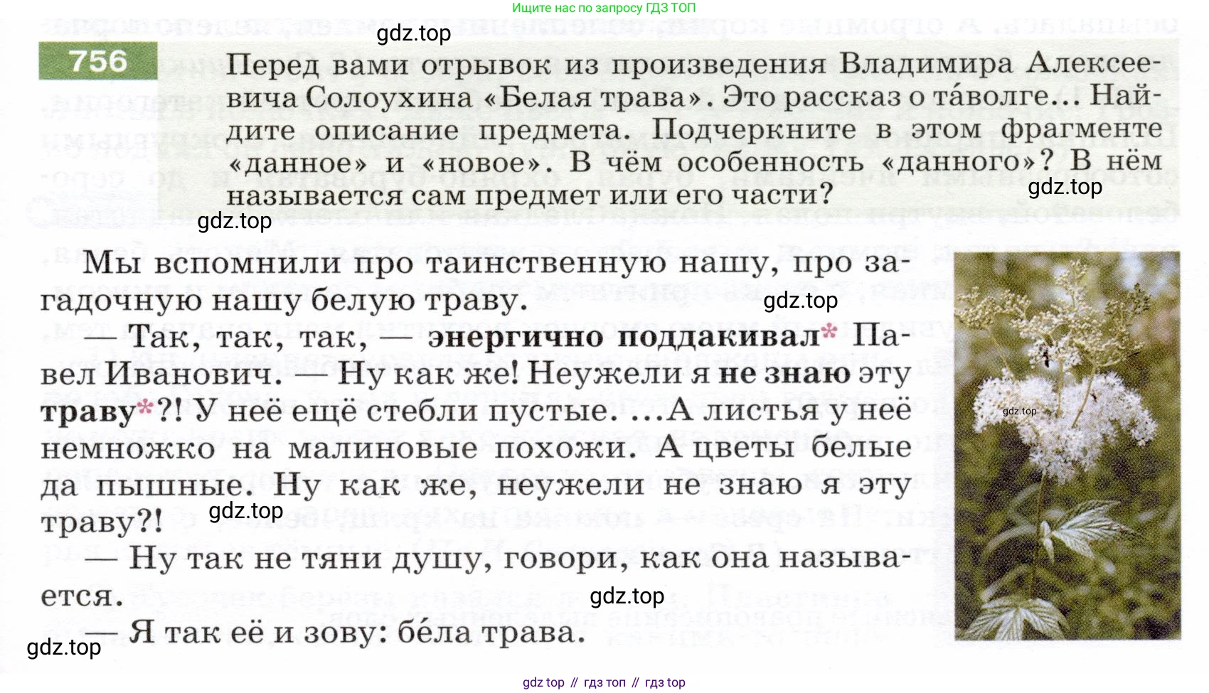 ГДЗ Русский язык, 5 класс Учебник, авторы: Разумовская Маргарита Михайловна, Львова Светлана Ивановна, Капинос Валентина Ивановна, Львов Валентин Витальевич, Богданова Галина Александровна, Тронина Татьяна Сергеевна, Сергеева Наталья Николаевна, издательство Дрофа, Москва, 2019 - 2022, белого цвета, Часть 2, страница 125, номер 756, Условие