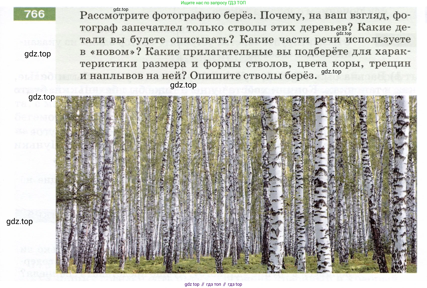 ГДЗ Русский язык, 5 класс Учебник, авторы: Разумовская Маргарита Михайловна, Львова Светлана Ивановна, Капинос Валентина Ивановна, Львов Валентин Витальевич, Богданова Галина Александровна, Тронина Татьяна Сергеевна, Сергеева Наталья Николаевна, издательство Дрофа, Москва, 2019 - 2022, белого цвета, Часть 2, страница 129, номер 766, Условие