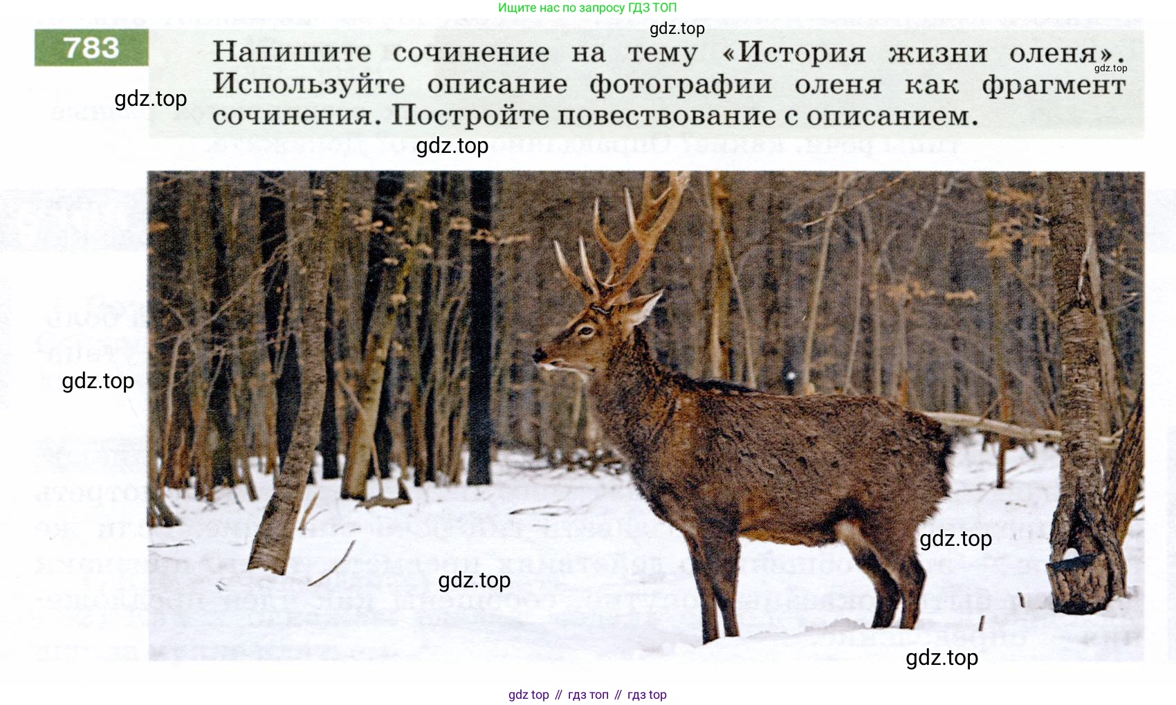 ГДЗ Русский язык, 5 класс Учебник, авторы: Разумовская Маргарита Михайловна, Львова Светлана Ивановна, Капинос Валентина Ивановна, Львов Валентин Витальевич, Богданова Галина Александровна, Тронина Татьяна Сергеевна, Сергеева Наталья Николаевна, издательство Дрофа, Москва, 2019 - 2022, белого цвета, Часть 2, страница 134, номер 783, Условие
