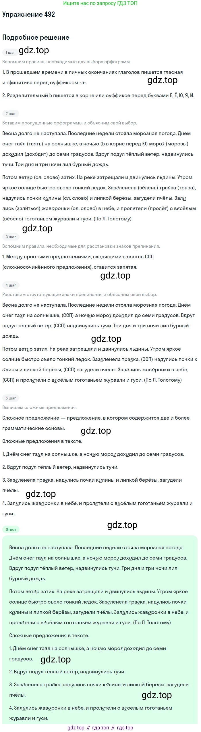 ГДЗ Русский язык, 5 класс Учебник, авторы: Разумовская Маргарита Михайловна, Львова Светлана Ивановна, Капинос Валентина Ивановна, Львов Валентин Витальевич, Богданова Галина Александровна, Тронина Татьяна Сергеевна, Сергеева Наталья Николаевна, издательство Дрофа, Москва, 2019 - 2022, белого цвета, Часть 2, страница 41, номер 492, Решение 1