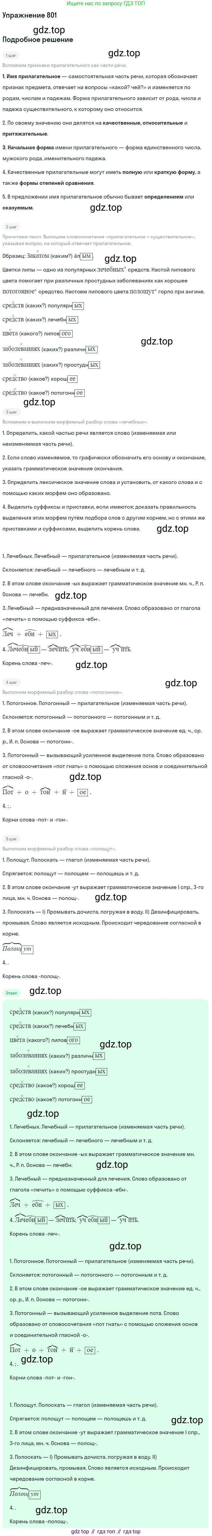 ГДЗ Русский язык, 5 класс Учебник, авторы: Разумовская Маргарита Михайловна, Львова Светлана Ивановна, Капинос Валентина Ивановна, Львов Валентин Витальевич, Богданова Галина Александровна, Тронина Татьяна Сергеевна, Сергеева Наталья Николаевна, издательство Дрофа, Москва, 2019 - 2022, белого цвета, Часть 2, страница 141, номер 801, Решение 1
