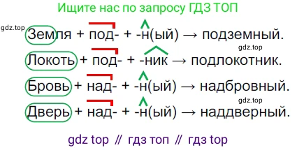 ГДЗ Русский язык, 5 класс Учебник, авторы: Разумовская Маргарита Михайловна, Львова Светлана Ивановна, Капинос Валентина Ивановна, Львов Валентин Витальевич, Богданова Галина Александровна, Тронина Татьяна Сергеевна, Сергеева Наталья Николаевна, издательство Дрофа, Москва, 2019 - 2022, белого цвета, Часть 1, страница 84, номер 251, Решение 2
