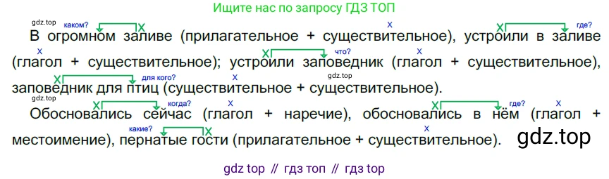 ГДЗ Русский язык, 5 класс Учебник, авторы: Разумовская Маргарита Михайловна, Львова Светлана Ивановна, Капинос Валентина Ивановна, Львов Валентин Витальевич, Богданова Галина Александровна, Тронина Татьяна Сергеевна, Сергеева Наталья Николаевна, издательство Дрофа, Москва, 2019 - 2022, белого цвета, Часть 2, страница 16, номер 402, Решение 2