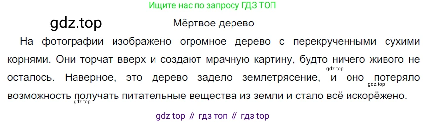 ГДЗ Русский язык, 5 класс Учебник, авторы: Разумовская Маргарита Михайловна, Львова Светлана Ивановна, Капинос Валентина Ивановна, Львов Валентин Витальевич, Богданова Галина Александровна, Тронина Татьяна Сергеевна, Сергеева Наталья Николаевна, издательство Дрофа, Москва, 2019 - 2022, белого цвета, Часть 1, страница 22, номер 50, Решение 2