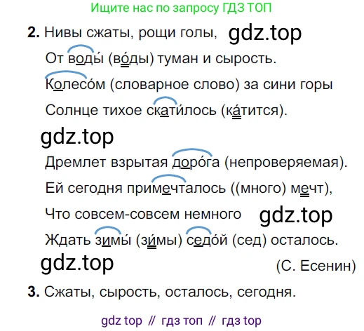 ГДЗ Русский язык, 5 класс Учебник, авторы: Разумовская Маргарита Михайловна, Львова Светлана Ивановна, Капинос Валентина Ивановна, Львов Валентин Витальевич, Богданова Галина Александровна, Тронина Татьяна Сергеевна, Сергеева Наталья Николаевна, издательство Дрофа, Москва, 2019 - 2022, белого цвета, Часть 1, страница 26, номер 58, Решение 2