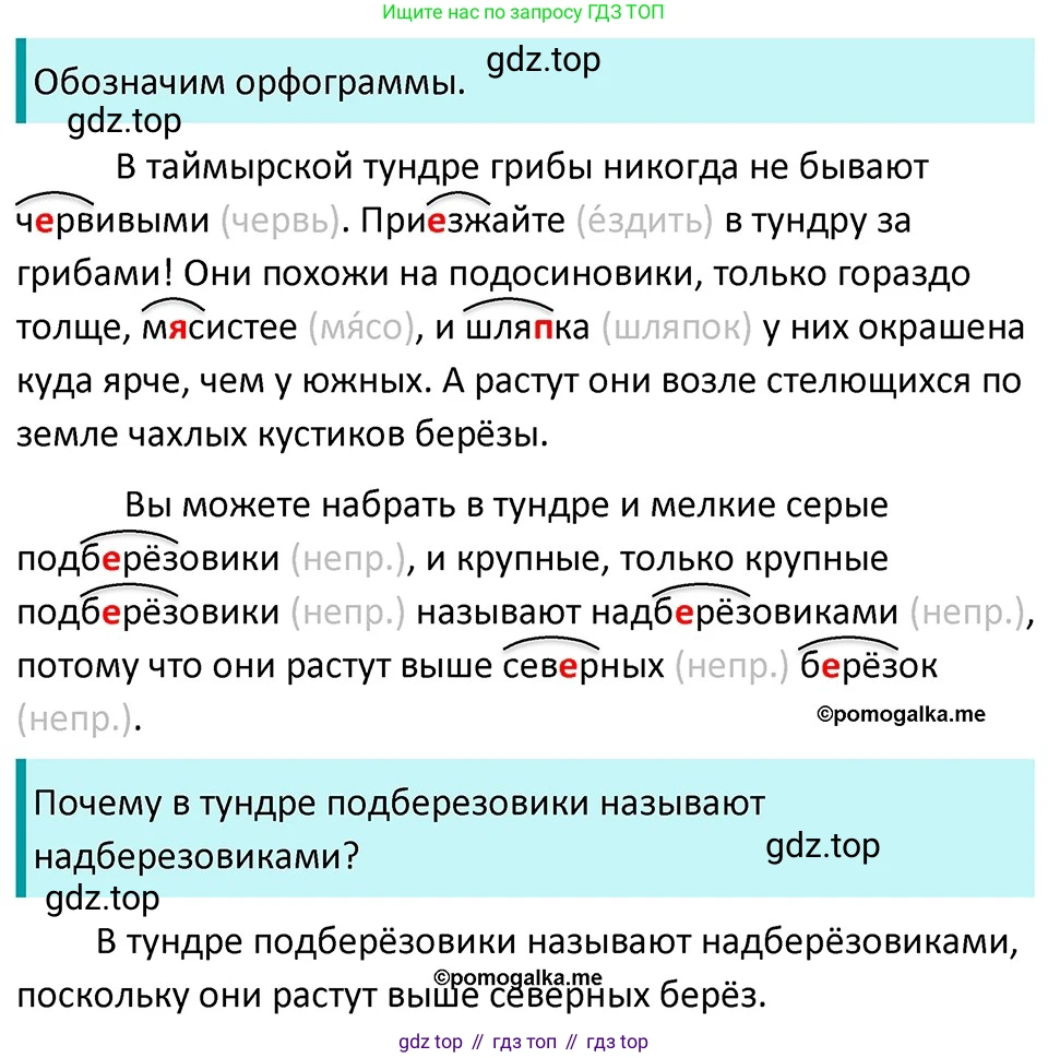 ГДЗ Русский язык, 5 класс Учебник, авторы: Разумовская Маргарита Михайловна, Львова Светлана Ивановна, Капинос Валентина Ивановна, Львов Валентин Витальевич, Богданова Галина Александровна, Тронина Татьяна Сергеевна, Сергеева Наталья Николаевна, издательство Дрофа, Москва, 2019 - 2022, белого цвета, Часть 1, страница 41, номер 111, Решение 3