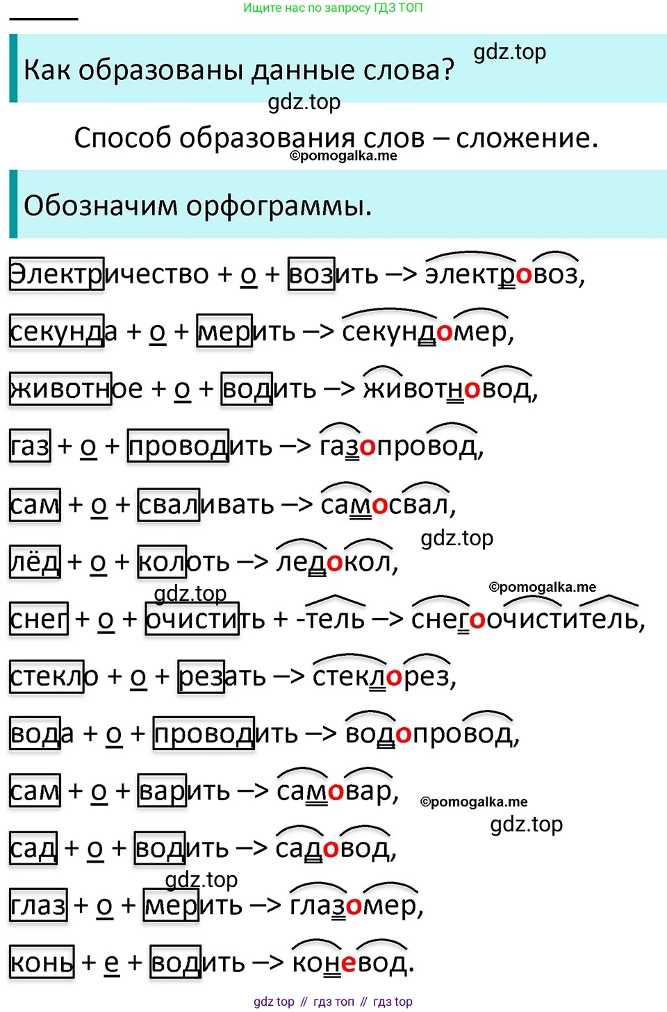ГДЗ Русский язык, 5 класс Учебник, авторы: Разумовская Маргарита Михайловна, Львова Светлана Ивановна, Капинос Валентина Ивановна, Львов Валентин Витальевич, Богданова Галина Александровна, Тронина Татьяна Сергеевна, Сергеева Наталья Николаевна, издательство Дрофа, Москва, 2019 - 2022, белого цвета, Часть 1, страница 83, номер 250, Решение 3