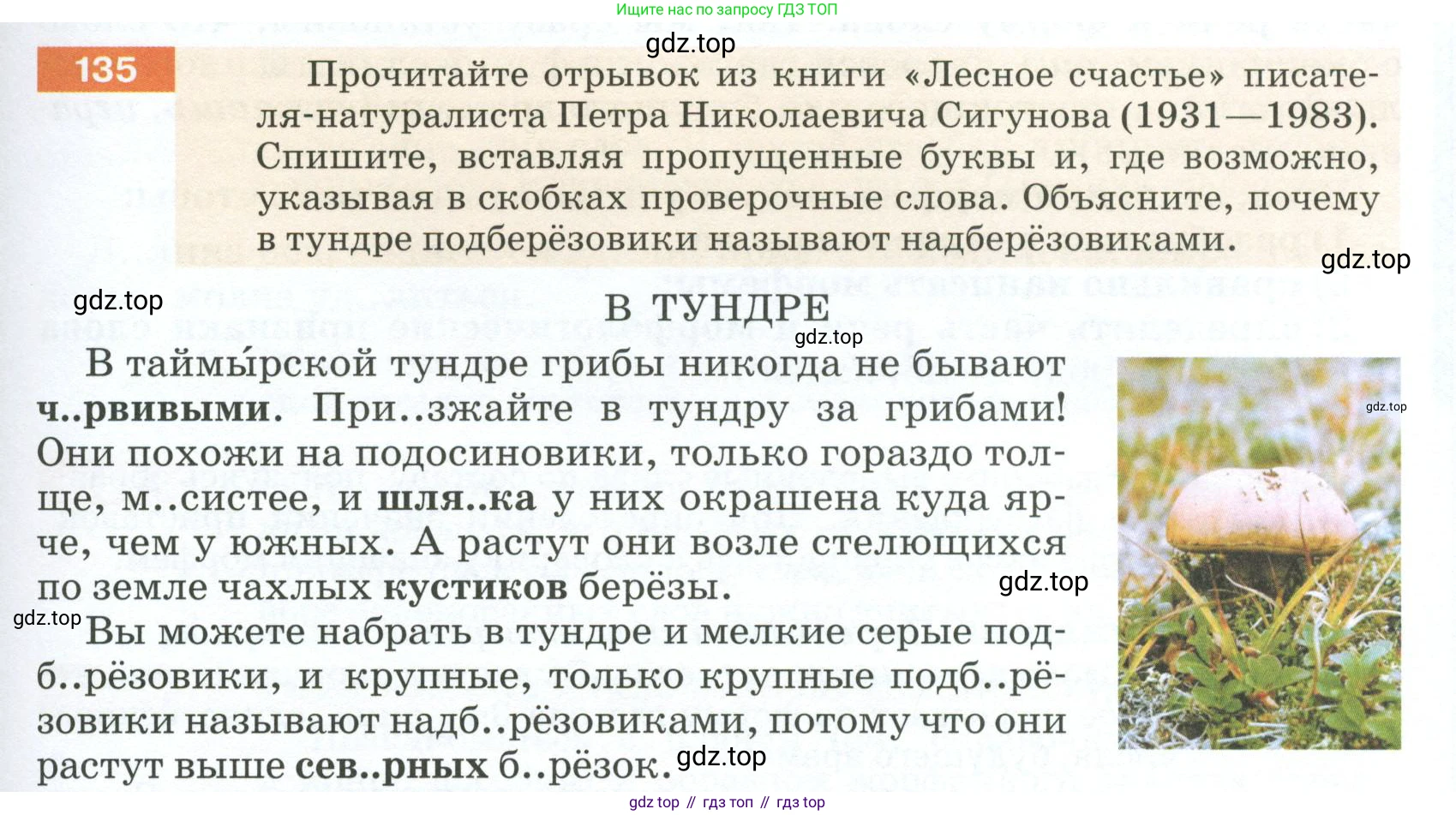 ГДЗ Русский язык, 5 класс Учебник, авторы: Разумовская Маргарита Михайловна, Львова Светлана Ивановна, Капинос Валентина Ивановна, Львов Валентин Витальевич, Богданова Галина Александровна, Тронина Татьяна Сергеевна, Сергеева Наталья Николаевна, издательство Просвещение, Москва, 2023, белого цвета, Часть 1, страница 51, номер 135, Условие 2023