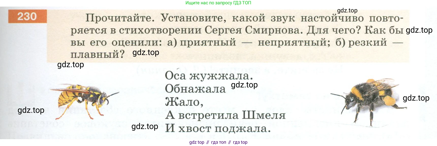 ГДЗ Русский язык, 5 класс Учебник, авторы: Разумовская Маргарита Михайловна, Львова Светлана Ивановна, Капинос Валентина Ивановна, Львов Валентин Витальевич, Богданова Галина Александровна, Тронина Татьяна Сергеевна, Сергеева Наталья Николаевна, издательство Просвещение, Москва, 2023, белого цвета, Часть 1, страница 81, номер 230, Условие 2023