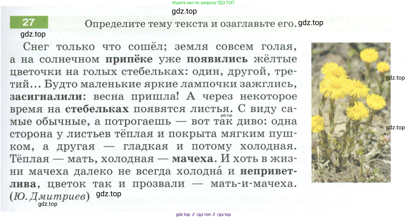 ГДЗ Русский язык, 5 класс Учебник, авторы: Разумовская Маргарита Михайловна, Львова Светлана Ивановна, Капинос Валентина Ивановна, Львов Валентин Витальевич, Богданова Галина Александровна, Тронина Татьяна Сергеевна, Сергеева Наталья Николаевна, издательство Просвещение, Москва, 2023, белого цвета, Часть 1, страница 17, номер 27, Условие 2023