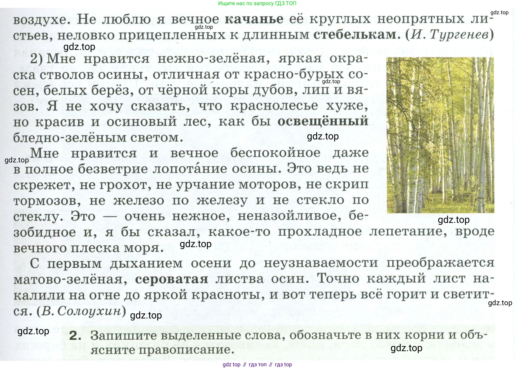 ГДЗ Русский язык, 5 класс Учебник, авторы: Разумовская Маргарита Михайловна, Львова Светлана Ивановна, Капинос Валентина Ивановна, Львов Валентин Витальевич, Богданова Галина Александровна, Тронина Татьяна Сергеевна, Сергеева Наталья Николаевна, издательство Просвещение, Москва, 2023, белого цвета, Часть 1, страница 18, номер 30, Условие 2023 (продолжение 2)