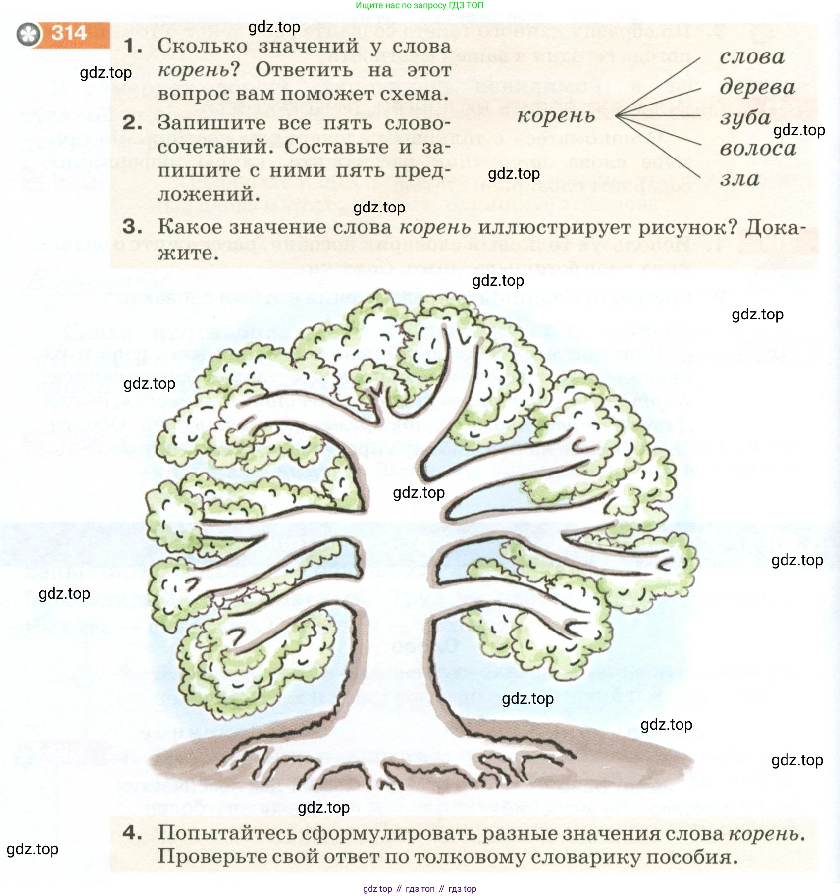 ГДЗ Русский язык, 5 класс Учебник, авторы: Разумовская Маргарита Михайловна, Львова Светлана Ивановна, Капинос Валентина Ивановна, Львов Валентин Витальевич, Богданова Галина Александровна, Тронина Татьяна Сергеевна, Сергеева Наталья Николаевна, издательство Просвещение, Москва, 2023, белого цвета, Часть 1, страница 106, номер 314, Условие 2023