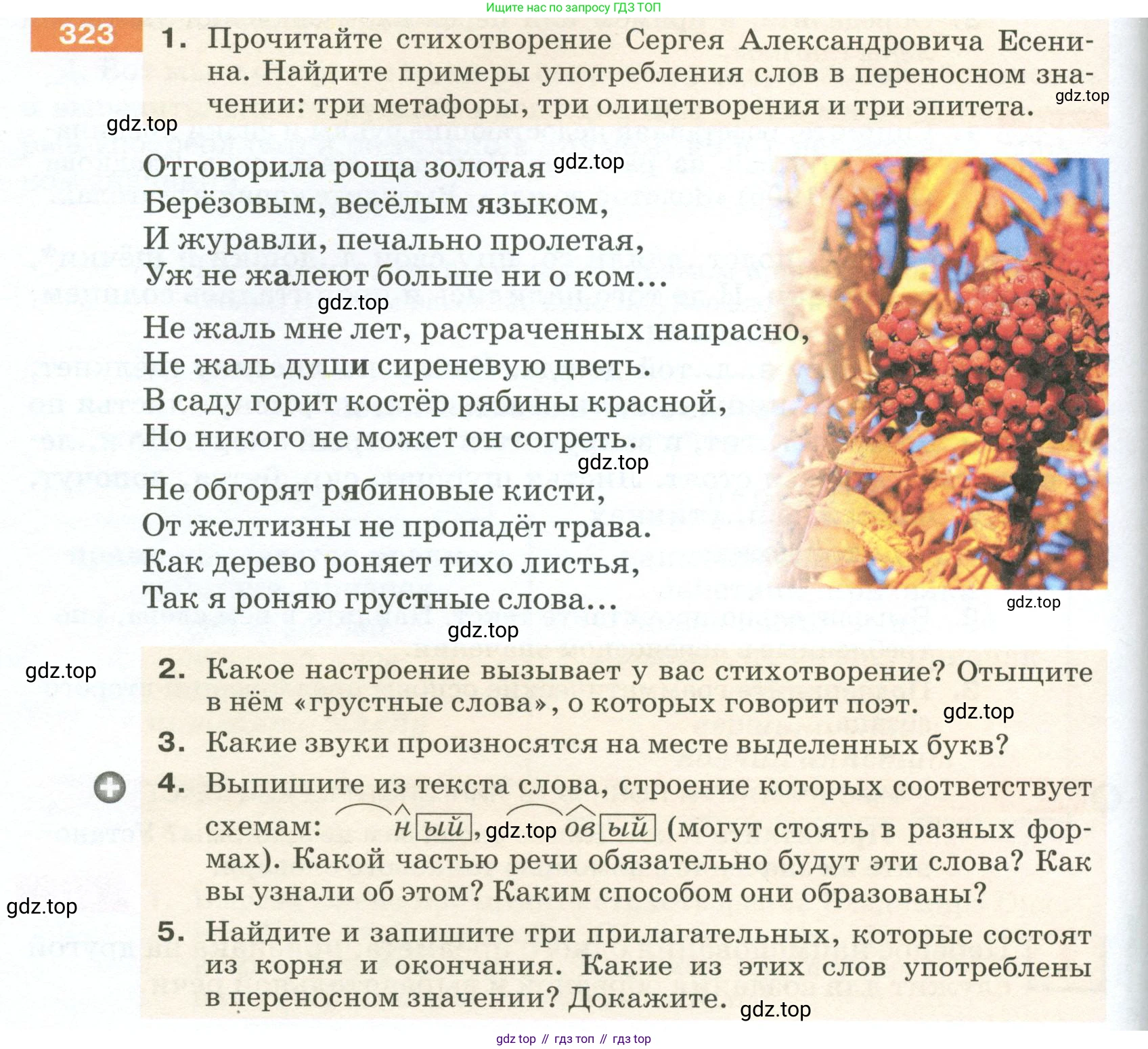 ГДЗ Русский язык, 5 класс Учебник, авторы: Разумовская Маргарита Михайловна, Львова Светлана Ивановна, Капинос Валентина Ивановна, Львов Валентин Витальевич, Богданова Галина Александровна, Тронина Татьяна Сергеевна, Сергеева Наталья Николаевна, издательство Просвещение, Москва, 2023, белого цвета, Часть 1, страница 110, номер 323, Условие 2023