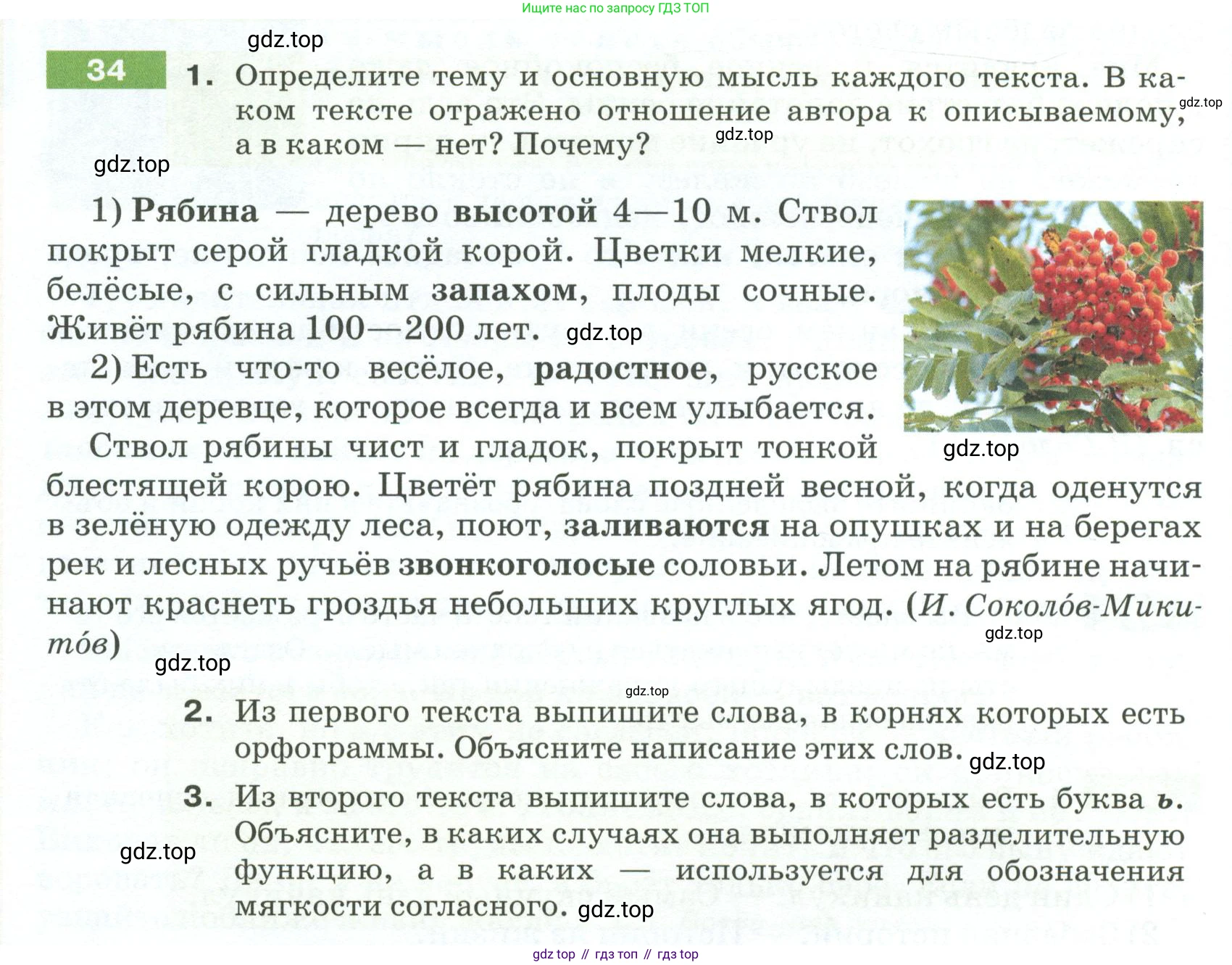 ГДЗ Русский язык, 5 класс Учебник, авторы: Разумовская Маргарита Михайловна, Львова Светлана Ивановна, Капинос Валентина Ивановна, Львов Валентин Витальевич, Богданова Галина Александровна, Тронина Татьяна Сергеевна, Сергеева Наталья Николаевна, издательство Просвещение, Москва, 2023, белого цвета, Часть 1, страница 20, номер 34, Условие 2023