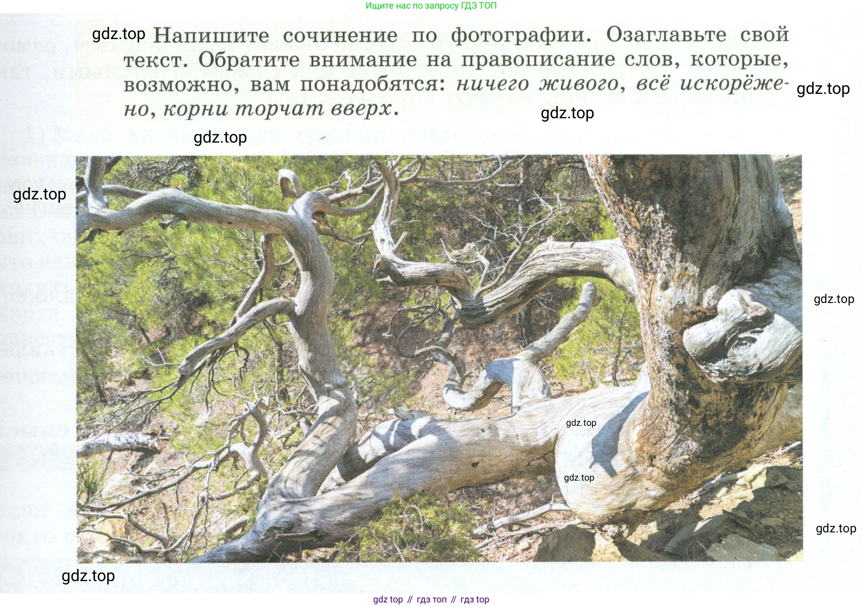 ГДЗ Русский язык, 5 класс Учебник, авторы: Разумовская Маргарита Михайловна, Львова Светлана Ивановна, Капинос Валентина Ивановна, Львов Валентин Витальевич, Богданова Галина Александровна, Тронина Татьяна Сергеевна, Сергеева Наталья Николаевна, издательство Просвещение, Москва, 2023, белого цвета, Часть 1, страница 20, номер 36, Условие 2023 (продолжение 2)