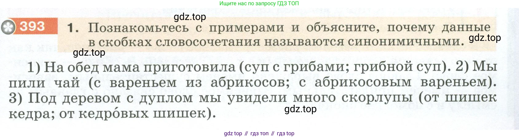 ГДЗ Русский язык, 5 класс Учебник, авторы: Разумовская Маргарита Михайловна, Львова Светлана Ивановна, Капинос Валентина Ивановна, Львов Валентин Витальевич, Богданова Галина Александровна, Тронина Татьяна Сергеевна, Сергеева Наталья Николаевна, издательство Просвещение, Москва, 2023, белого цвета, Часть 2, страница 9, номер 393, Условие 2023