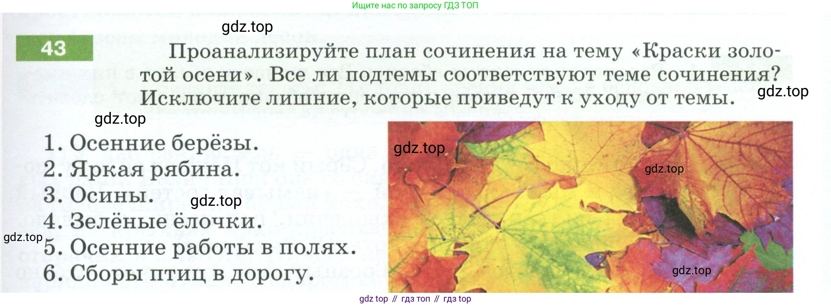 ГДЗ Русский язык, 5 класс Учебник, авторы: Разумовская Маргарита Михайловна, Львова Светлана Ивановна, Капинос Валентина Ивановна, Львов Валентин Витальевич, Богданова Галина Александровна, Тронина Татьяна Сергеевна, Сергеева Наталья Николаевна, издательство Просвещение, Москва, 2023, белого цвета, Часть 1, страница 25, номер 43, Условие 2023