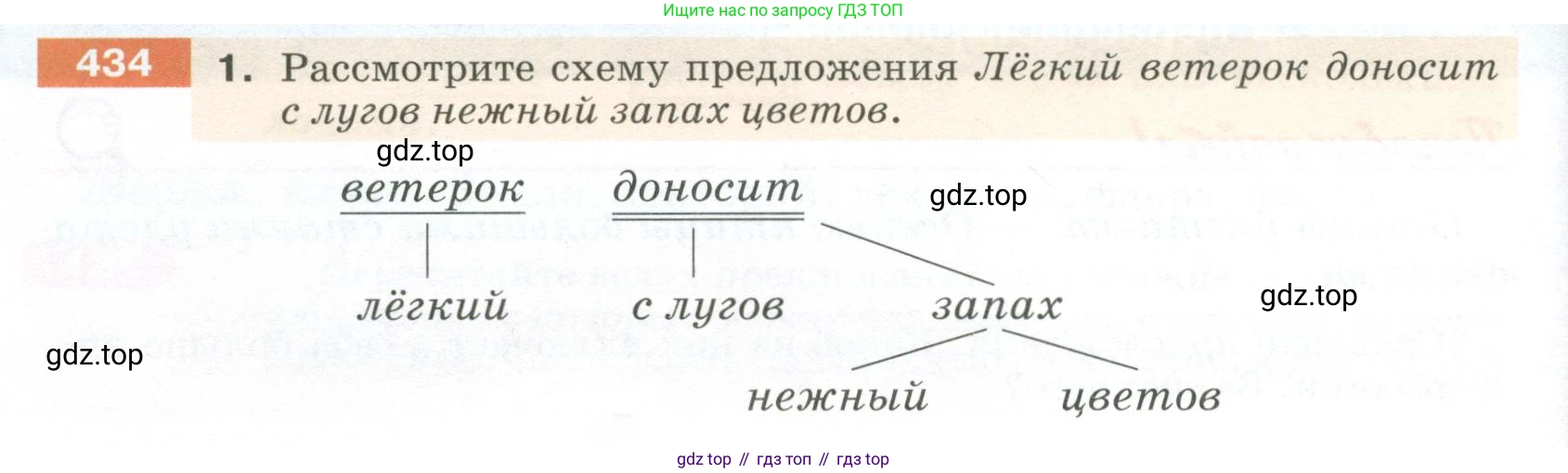 ГДЗ Русский язык, 5 класс Учебник, авторы: Разумовская Маргарита Михайловна, Львова Светлана Ивановна, Капинос Валентина Ивановна, Львов Валентин Витальевич, Богданова Галина Александровна, Тронина Татьяна Сергеевна, Сергеева Наталья Николаевна, издательство Просвещение, Москва, 2023, белого цвета, Часть 2, страница 24, номер 434, Условие 2023