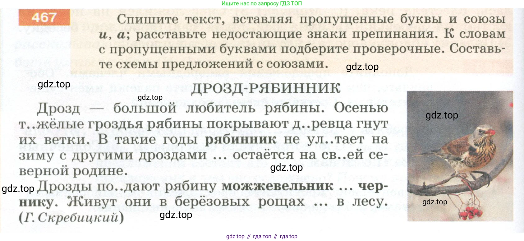ГДЗ Русский язык, 5 класс Учебник, авторы: Разумовская Маргарита Михайловна, Львова Светлана Ивановна, Капинос Валентина Ивановна, Львов Валентин Витальевич, Богданова Галина Александровна, Тронина Татьяна Сергеевна, Сергеева Наталья Николаевна, издательство Просвещение, Москва, 2023, белого цвета, Часть 2, страница 34, номер 467, Условие 2023