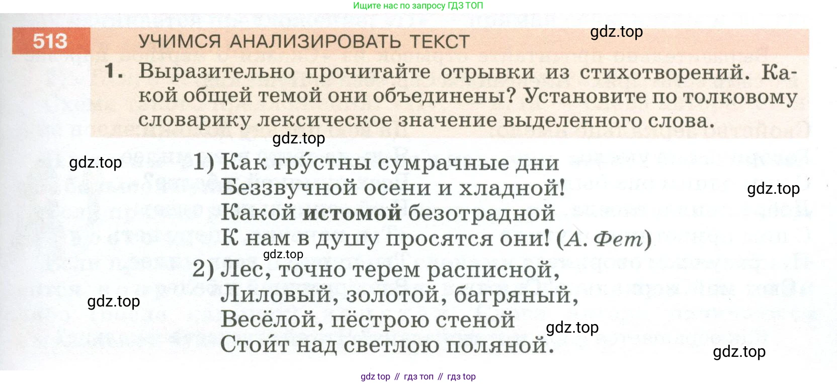ГДЗ Русский язык, 5 класс Учебник, авторы: Разумовская Маргарита Михайловна, Львова Светлана Ивановна, Капинос Валентина Ивановна, Львов Валентин Витальевич, Богданова Галина Александровна, Тронина Татьяна Сергеевна, Сергеева Наталья Николаевна, издательство Просвещение, Москва, 2023, белого цвета, Часть 2, страница 47, номер 513, Условие 2023