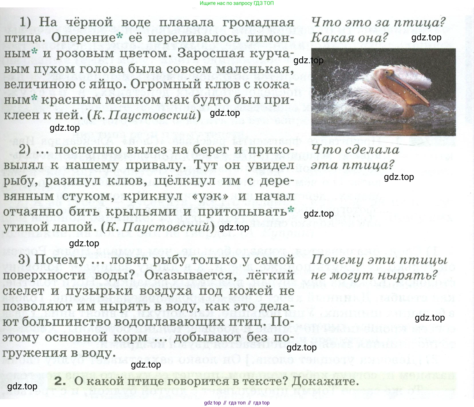 ГДЗ Русский язык, 5 класс Учебник, авторы: Разумовская Маргарита Михайловна, Львова Светлана Ивановна, Капинос Валентина Ивановна, Львов Валентин Витальевич, Богданова Галина Александровна, Тронина Татьяна Сергеевна, Сергеева Наталья Николаевна, издательство Просвещение, Москва, 2023, белого цвета, Часть 2, страница 54, номер 536, Условие 2023 (продолжение 2)