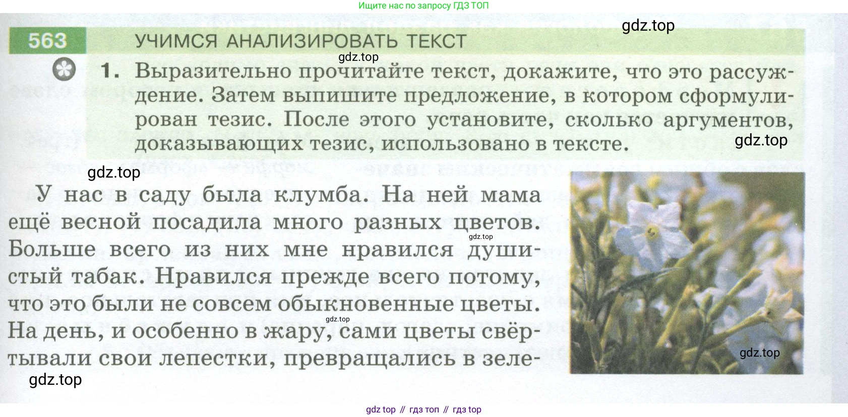 ГДЗ Русский язык, 5 класс Учебник, авторы: Разумовская Маргарита Михайловна, Львова Светлана Ивановна, Капинос Валентина Ивановна, Львов Валентин Витальевич, Богданова Галина Александровна, Тронина Татьяна Сергеевна, Сергеева Наталья Николаевна, издательство Просвещение, Москва, 2023, белого цвета, Часть 2, страница 65, номер 563, Условие 2023