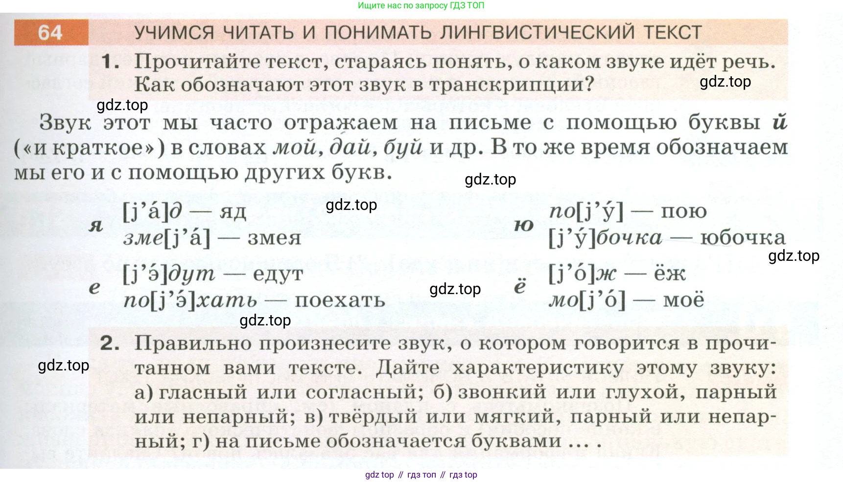 ГДЗ Русский язык, 5 класс Учебник, авторы: Разумовская Маргарита Михайловна, Львова Светлана Ивановна, Капинос Валентина Ивановна, Львов Валентин Витальевич, Богданова Галина Александровна, Тронина Татьяна Сергеевна, Сергеева Наталья Николаевна, издательство Просвещение, Москва, 2023, белого цвета, Часть 1, страница 31, номер 64, Условие 2023
