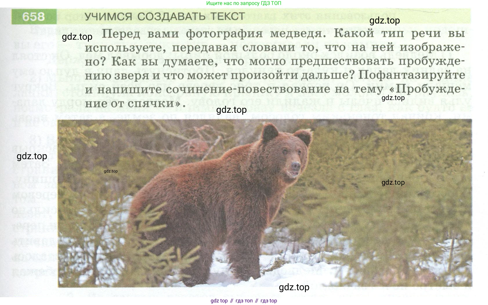 ГДЗ Русский язык, 5 класс Учебник, авторы: Разумовская Маргарита Михайловна, Львова Светлана Ивановна, Капинос Валентина Ивановна, Львов Валентин Витальевич, Богданова Галина Александровна, Тронина Татьяна Сергеевна, Сергеева Наталья Николаевна, издательство Просвещение, Москва, 2023, белого цвета, Часть 2, страница 97, номер 658, Условие 2023