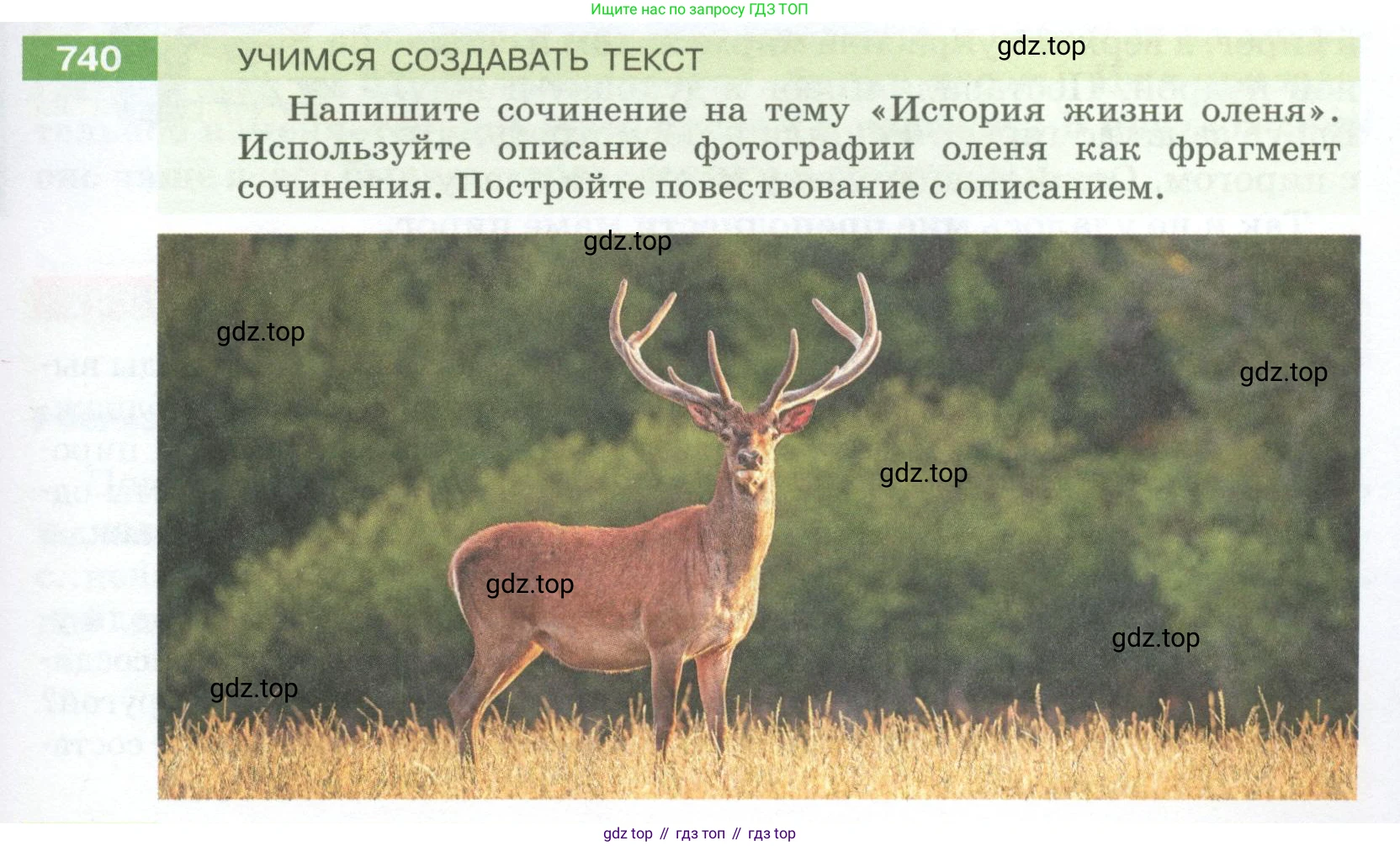 ГДЗ Русский язык, 5 класс Учебник, авторы: Разумовская Маргарита Михайловна, Львова Светлана Ивановна, Капинос Валентина Ивановна, Львов Валентин Витальевич, Богданова Галина Александровна, Тронина Татьяна Сергеевна, Сергеева Наталья Николаевна, издательство Просвещение, Москва, 2023, белого цвета, Часть 2, страница 127, номер 740, Условие 2023