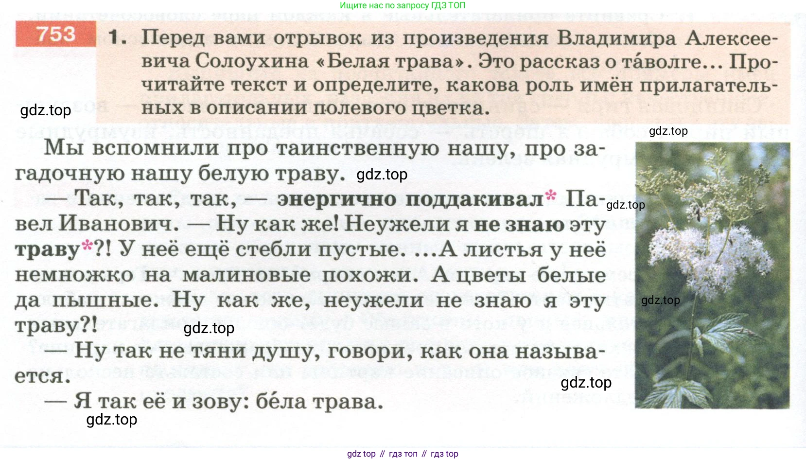 ГДЗ Русский язык, 5 класс Учебник, авторы: Разумовская Маргарита Михайловна, Львова Светлана Ивановна, Капинос Валентина Ивановна, Львов Валентин Витальевич, Богданова Галина Александровна, Тронина Татьяна Сергеевна, Сергеева Наталья Николаевна, издательство Просвещение, Москва, 2023, белого цвета, Часть 2, страница 132, номер 753, Условие 2023