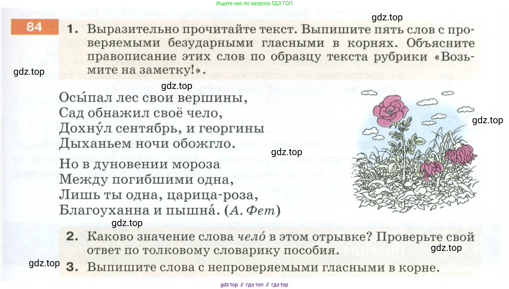 ГДЗ Русский язык, 5 класс Учебник, авторы: Разумовская Маргарита Михайловна, Львова Светлана Ивановна, Капинос Валентина Ивановна, Львов Валентин Витальевич, Богданова Галина Александровна, Тронина Татьяна Сергеевна, Сергеева Наталья Николаевна, издательство Просвещение, Москва, 2023, белого цвета, Часть 1, страница 37, номер 84, Условие 2023
