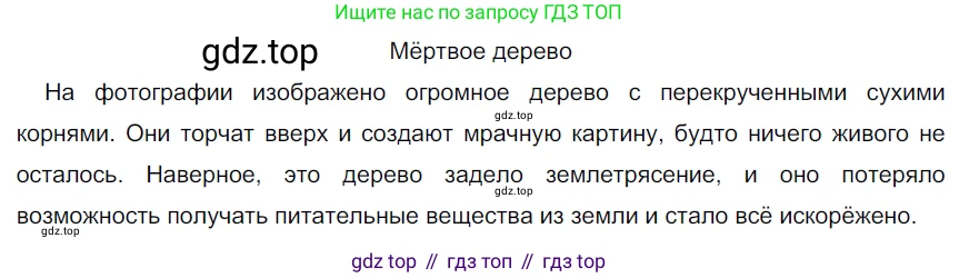 ГДЗ Русский язык, 5 класс Учебник, авторы: Разумовская Маргарита Михайловна, Львова Светлана Ивановна, Капинос Валентина Ивановна, Львов Валентин Витальевич, Богданова Галина Александровна, Тронина Татьяна Сергеевна, Сергеева Наталья Николаевна, издательство Просвещение, Москва, 2023, белого цвета, Часть 1, страница 20, номер 36, Решение 3 (2023)